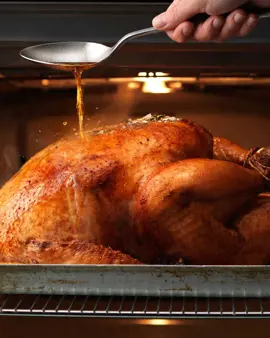 Roast turkey